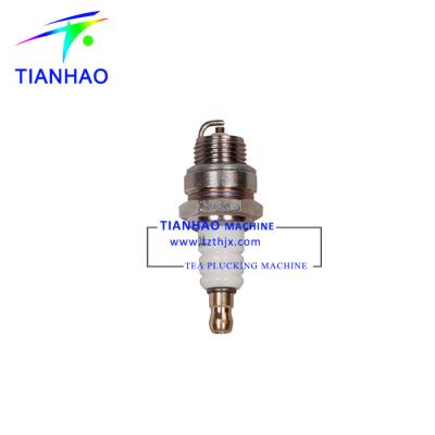 China Tea Picker C4C-60 2 Stroke 1E34F Engine Spark Plug for sale