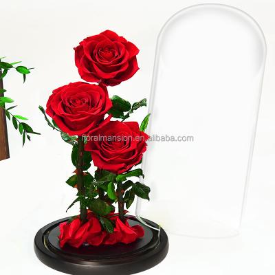 China Natural Touch 13inch 3 Red Preserved Real Roses Eternal Roses in Glass Dome for Her Thanksgiving Christmas Valentine's Day Mother's Day for sale