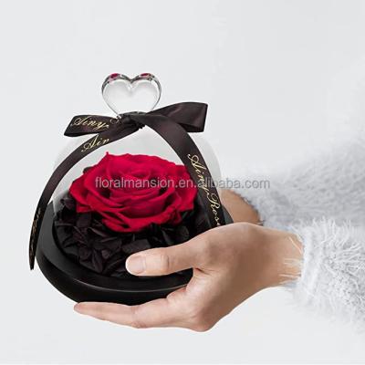 China Rose Decorative Flowers Heart Design Natural Fresh Forever Preserved Real Rose in Glass Dome Gift for Valentine's Day Mother's Day Christmas for sale