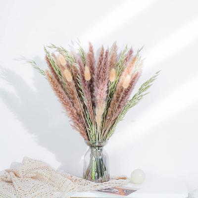 China Hot Selling Wholesale Amazon Natural Touch Wholesale Thatch Dry Pampas Grass Natural Pampas Grass For Party Wedding Decoration Preserved Wrea for sale