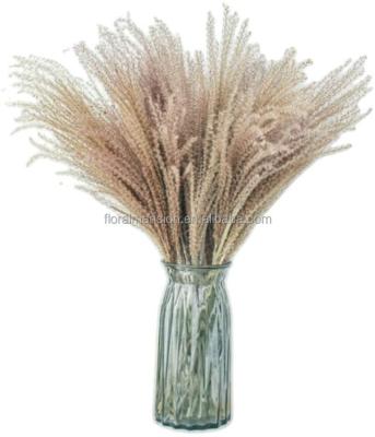 China Wholesale Natural Touch Dried Pampas Grass Pampas Reed Fluffy Feather Flower Plants Phragmites Bunches Natural Dried Stems For Home Wedding for sale