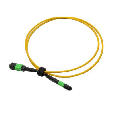 China MPO Patch Cord Single Mode G256D 8 Cores 1M MPO Jumper Cable / MPO 3.0 Fiber Optic Optical Patch Cord for sale