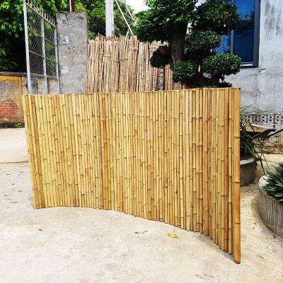 Cina Serra del recinto di Screen Fencing For del giardino di bambù decorativo affumicato della scuola materna in vendita