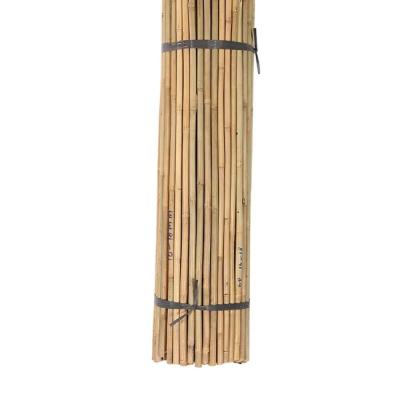 China Bamboo Flower Sticks Garden Stakes for Plant Support Farm Garden Decoration for sale