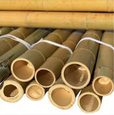 China Straight Bamboo Tree Stakes Large Nature Raw Bamboo Poles For Decoration Length 300cm for sale