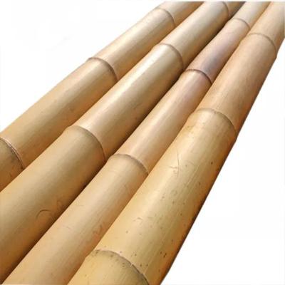 중국 장식을 위한 모소 Bambu Pole Length Customized Straight Bamboo Tree Stakes 장식을 위한 모소 Bambu Pole Length 판매용