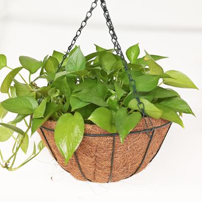 China Coconut Coir Hanging Planters Outdoor Metal Wire Baskets With Coco Liner Hanging Pots For Plants Indoor for sale