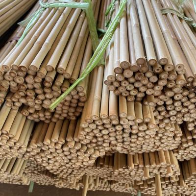 China Natürliche Roh-Bamboo-Stäbe Gerade Bambus-Baum-Pfähle Große Bambus-Stäbe zur Dekoration zu verkaufen