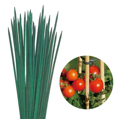 China Bamboo-Blumenstäbchen für die Gartengestaltung Farben Bamboo-Stick Blumenstütze zu verkaufen