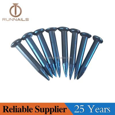 China Iraq Steel Blue Concrete Steel Nails for sale