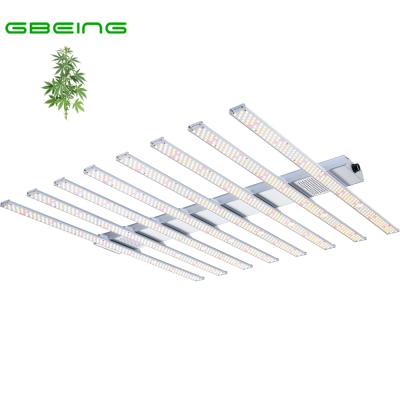 China FLOWER GBEING Full Spectrum 600W LED Grow Light Bar For Indoor Plants LM301B Dimmable Led Grow Light B8-12K for sale