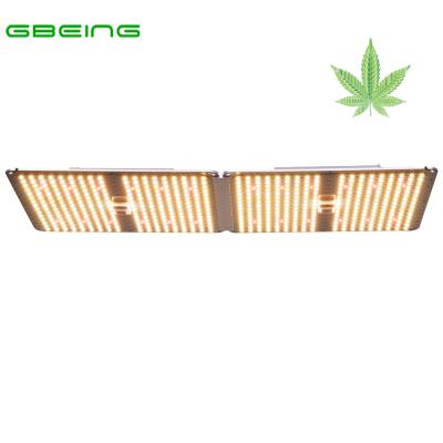 China Seed Starting Most Competitive Price High Efficiency Lm301b LED Grow Light Board Indoor Cultivation Grow Light Led for sale