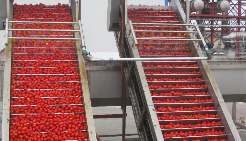 Proveedor verificado de China - Red Tomato Foods Group Limited