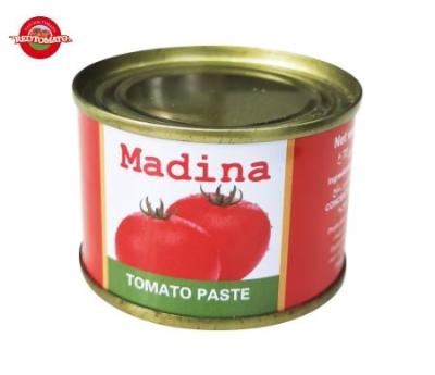 Chine 70 g de pâte de tomate en conserve à vendre