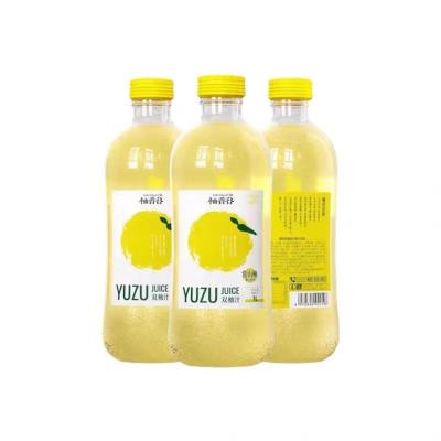 China Low fat hot sale double grapefruit juice fruit drink original taste and fat solution spicy and suitable for supplying 1*1L*6 for sale