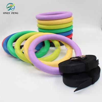 China Hot Yoga Pilate Yoga Fitness ABS Gym Rings With Nylon Straps Gymnastic Rings for sale