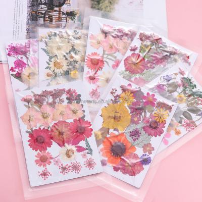 China Cheap Diy Part Mixed Dried Pressed Dry Grass Flower Openers Natura Real Dried Pressed Art Flowers For Sale for sale