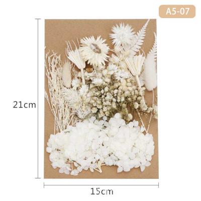 China Natural Touch Dried Flowers Bags Wholesale Dried Flowers Nail Art Natural Real Flower Gift for sale