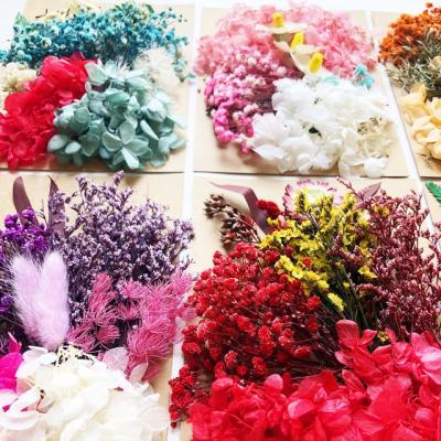 China Natural Touch Dried Flowers Bags Wholesale Dried Flowers Nail Art Natural Real Flower Gift for sale