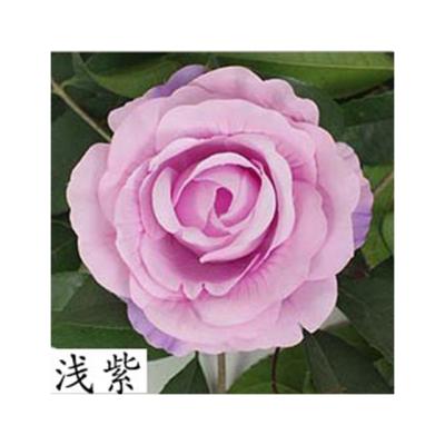 China Silk Flower Peony Heads Large Artificial Flower Heads For Flower Wall Wedding Decoration for sale