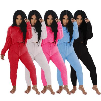 China Cute Autumn Faux Fur Fleece Sweatsuit 2021 Women's QUICK DRY Thick Clothing Ladies Hoodie Two-Piece Top Set 2 Piece Set for sale