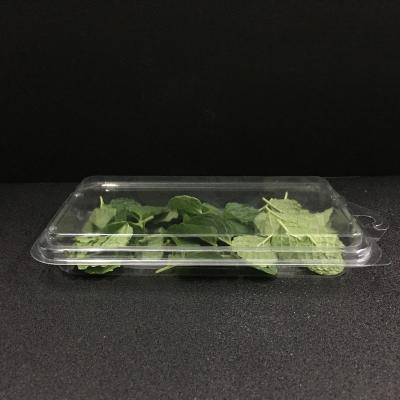 China Disposable Wholesale Disposable Plastic Grass / Mint Packaging Container With Function Of Tamper Evident Box for sale