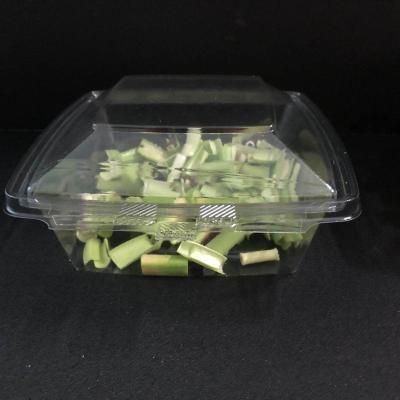 China Disposable Plastic Take Away Biodegradable Plastic Salad / Fruit Box Containers For Fruit Salad for sale