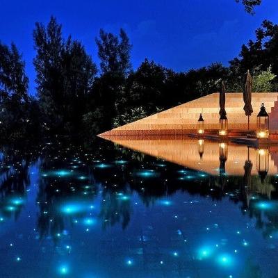 China Pool Starry Sky Star Ceiling Light Fiber Optic Kit Yes For Fiber Optics Pond Light for sale