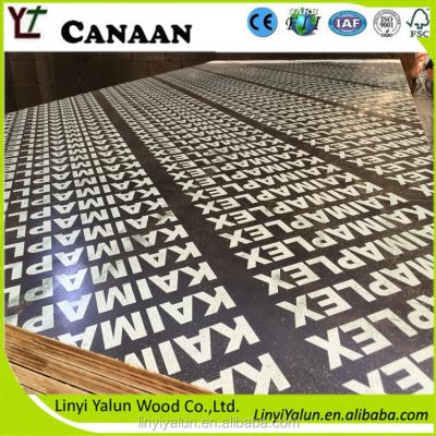 China Exterior Construction Material Poplar Water Proof Marine Plywood Linyi for sale