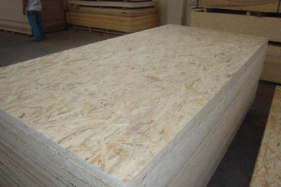 China Best Price Exterior OSB-3 Board For Roofing From Linyi OSB Board Factory for sale