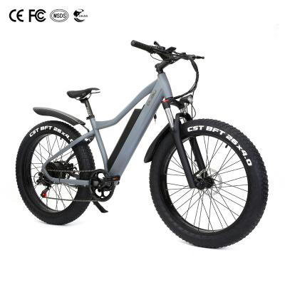 China Aluminum Alloy 48V 14AH 750W High Speed ​​Lockable Shock Absorb Front Fork Electric Bike Ebike for sale