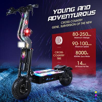 China Fat FLJ 14inch Dual Tire Mountain Scooter 60v 72v 8000w Motor Battery 80Ah Max Speed ​​90-100km/h Unisex Electric Mobility Scooter for sale