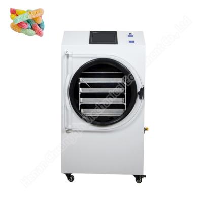 China freeze dryer candy /small freeze dryer/ freeze dryer for liquids for sale