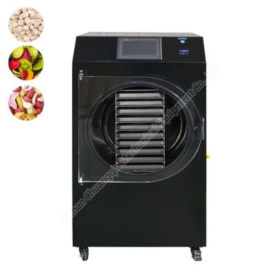 China HFD-9 10 trays food freeze dryer machine/ freeze dryer for home use /coffee freeze dryer for sale