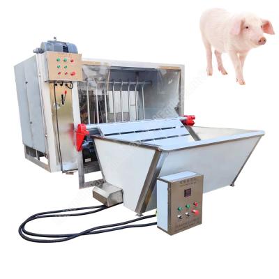 China Máquina de depilación para cerdo Maquinaria de escaldado y depilación de cerdo Matadero de cerdo en venta