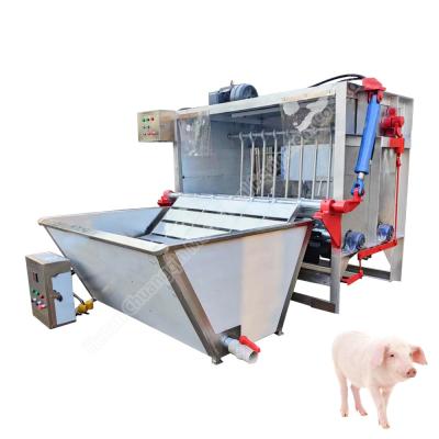 China Equipo de matadero de cerdos de alta eficiencia Máquina de depilar el pelo de cerdo para cerdos 10,5kw en venta