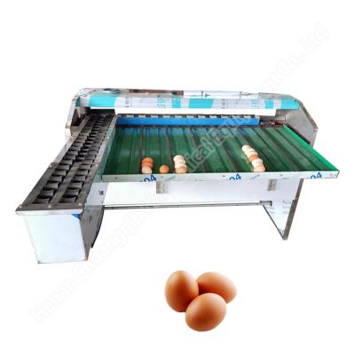 China Máquina para clasificar el tamaño del huevo Máquina para clasificar los huevos Máquina automática para clasificar los huevos en venta