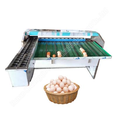 Chine Classificateur de poule de poule machine de classement de poule de poule machine de tri des œufs de poule machine de tri du poids des œufs à vendre