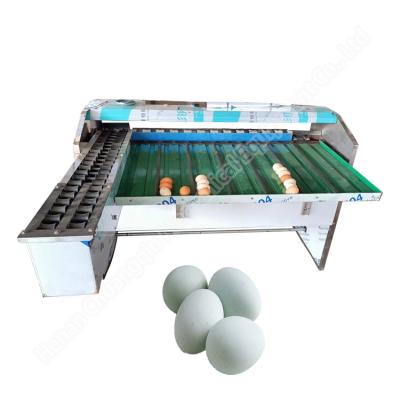 China Máquina automática de clasificación de huevos Máquina de clasificación de huevos Sortador de huevos Peso Sortador Línea de producción en venta