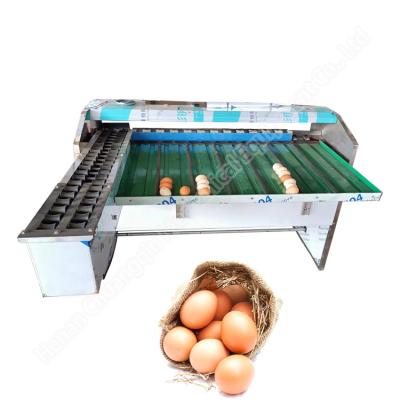 China Máquina de clasificación de huevos de gallina Máquina automática de clasificación de huevos 4000-10000 Pcs Máquina mecánica de clasificación de huevos en venta