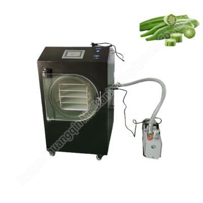 China Freeze Dryer Meat Food Vegetable Freeze Dryer Machine For Fruit Household Freeze Dryers for sale