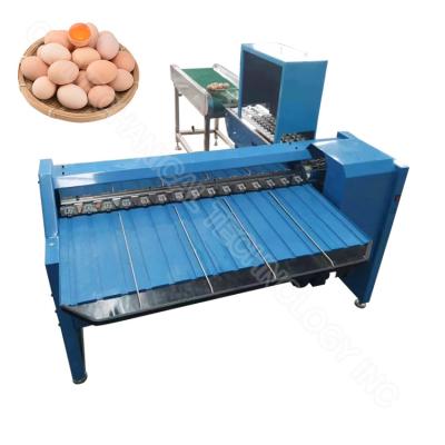 China Egg Processing Machinery Egg Sorter Egg Sorter Machine Egg Grading Machine Sorter for sale