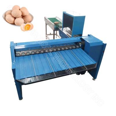 China Máquina de clasificación de huevos Grader de huevos Máquina de clasificación de huevos Peso Tamaño 4000/5400pcs/H en venta