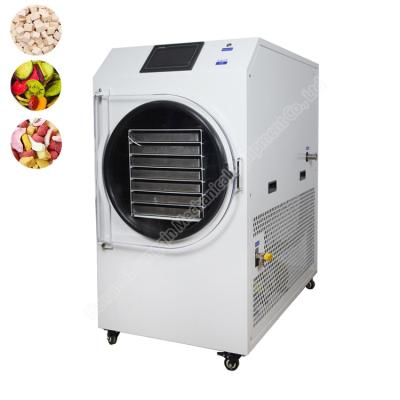 China Vacuum Freeze Dryer Machine Candy Small Freeze Dryer For Liquids Lyophilizer for sale