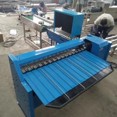 China Chicken Egg Sorting Machine Egg Size Sorting Machine Basic Egg Sorting Machine for sale