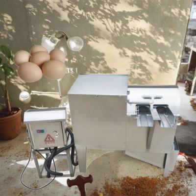 Chine Automatic Egg Cleaner Washer Egg-Washing-Machine Chicken Duck Washer Egg Washing Machine à vendre