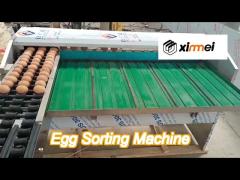 220v/380v automatic egg sorting machine / commercial egg grading machine for sale