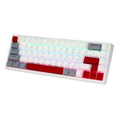 China Anti-ghosting RGB Wireless Gaming Keyboard OEM Gamers Products Accessories 61 Mechanical Keyboard for sale