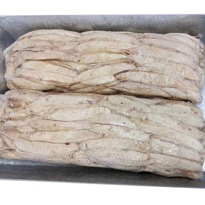 China Customized Tuna Loins Wholesale Factory Price Logo Frozen Cooked Tuna Loin And Packing Cheap High Quality Bigeye Skipjack Salmon Trout for sale