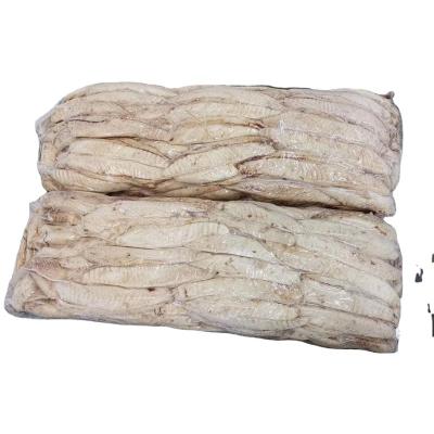 China Nutritious Loins Factory Direct Hot Selling Filetes de atun Tuna with EU Standard Frozen Precooked Skipjack Tuna Loins for sale